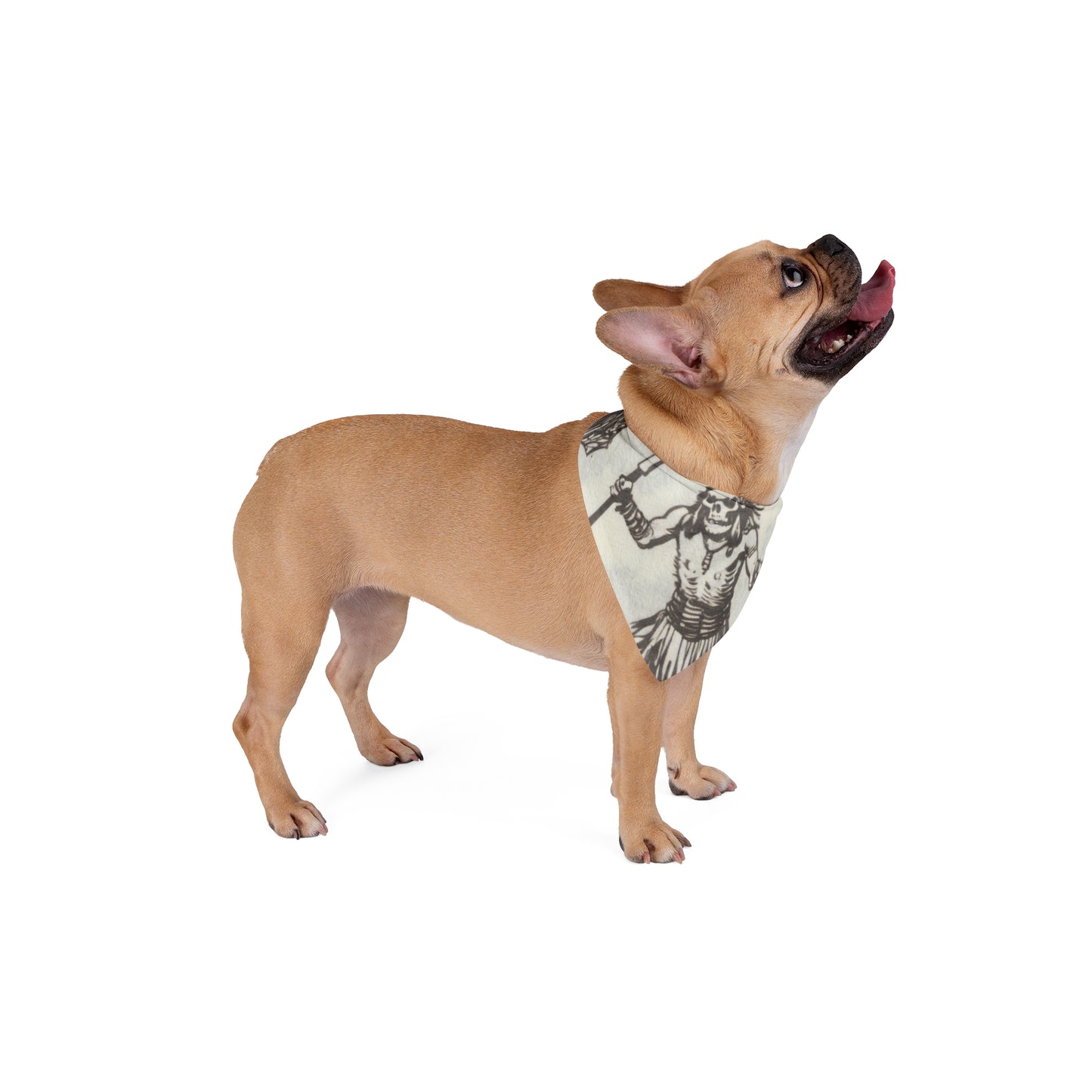 Pet Bandana - Vintage Skeleton Native American Warrior Design